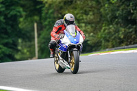 anglesey;brands-hatch;cadwell-park;croft;donington-park;enduro-digital-images;event-digital-images;eventdigitalimages;mallory;no-limits;oulton-park;peter-wileman-photography;racing-digital-images;silverstone;snetterton;trackday-digital-images;trackday-photos;vmcc-banbury-run;welsh-2-day-enduro